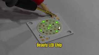 Schoonheidslicht COB LED-chip